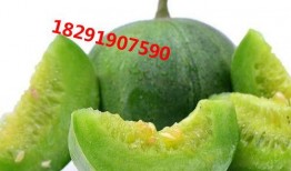 甜瓜生物爆料视频大全,揭秘视频大全中的惊人真相