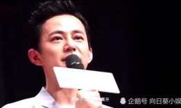 向何老师爆料的视频大全,娱乐圈幕后真相大曝光